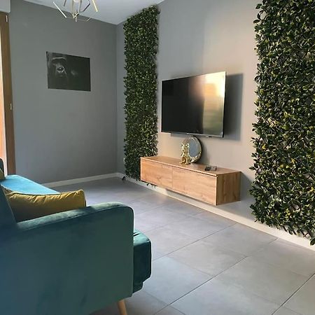 O Calme Cosy - Jardins Et Villes - Experience Unique - Wifi Gratuit - Parking Gratuite Гренобль Екстер'єр фото